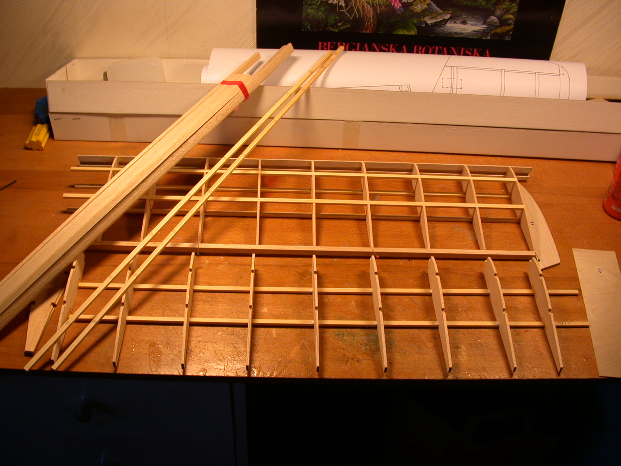 DSCN4379.JPG