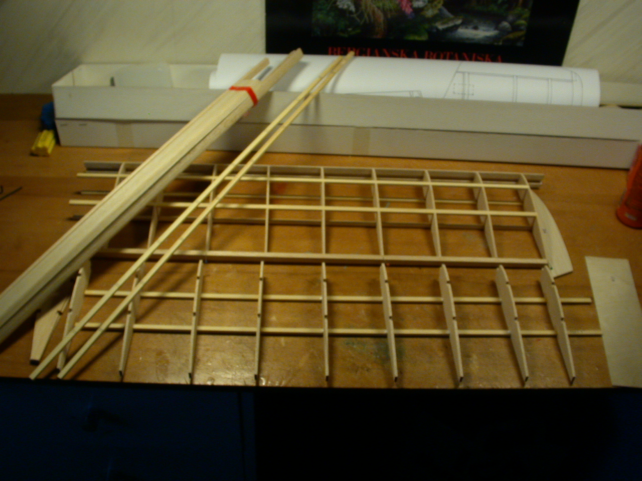 DSCN4380.JPG