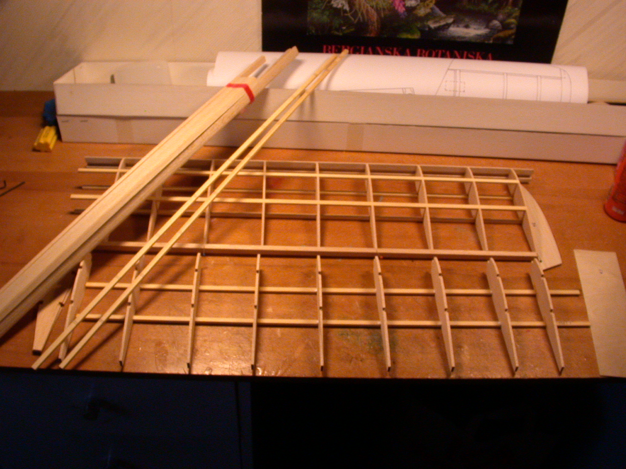 DSCN4381.JPG