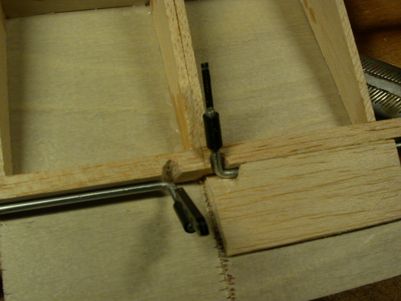 DSCN4390.JPG